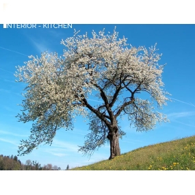 Giày Slip On Ultraboost 20